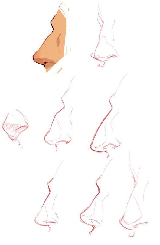 动漫鼻子画法简单图片